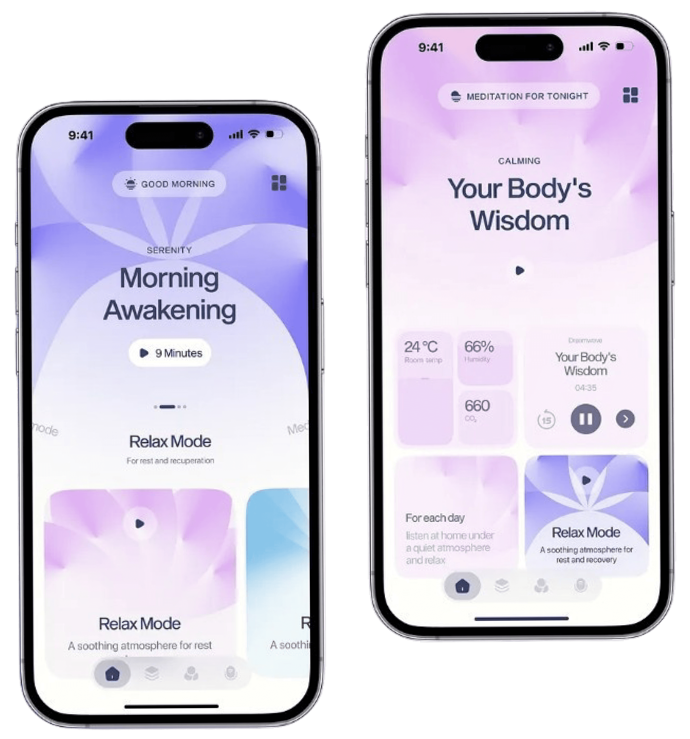 App & Website Development